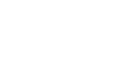 SAL logo-05